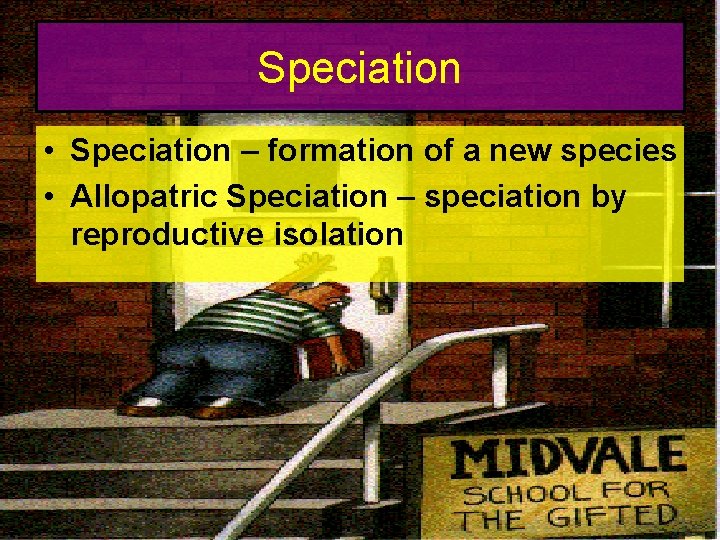 Speciation • Speciation – formation of a new species • Allopatric Speciation – speciation