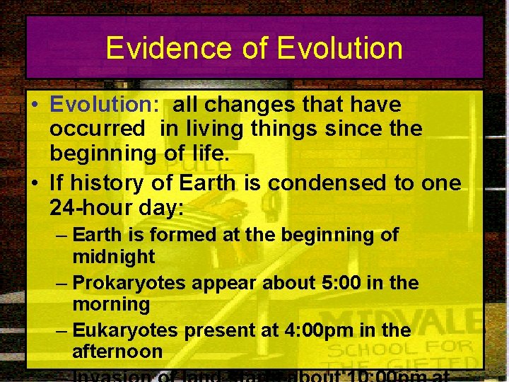 Evidence of Evolution • Evolution: all changes that have occurred in living things since