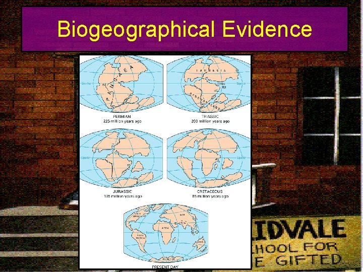 Biogeographical Evidence 