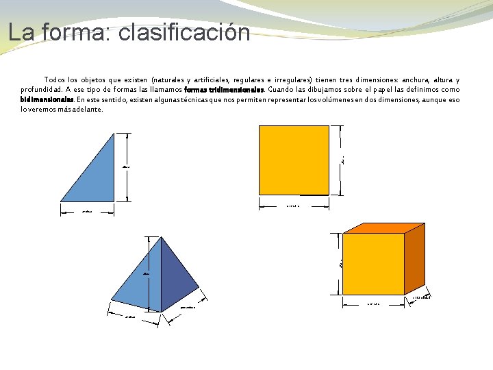 La forma: clasificación altura Todos los objetos que existen (naturales y artificiales, regulares e