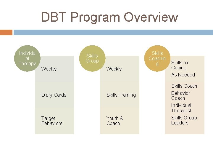 DBT Program Overview Individu al Therapy Skills Coachin g Skills Group Weekly Skills for