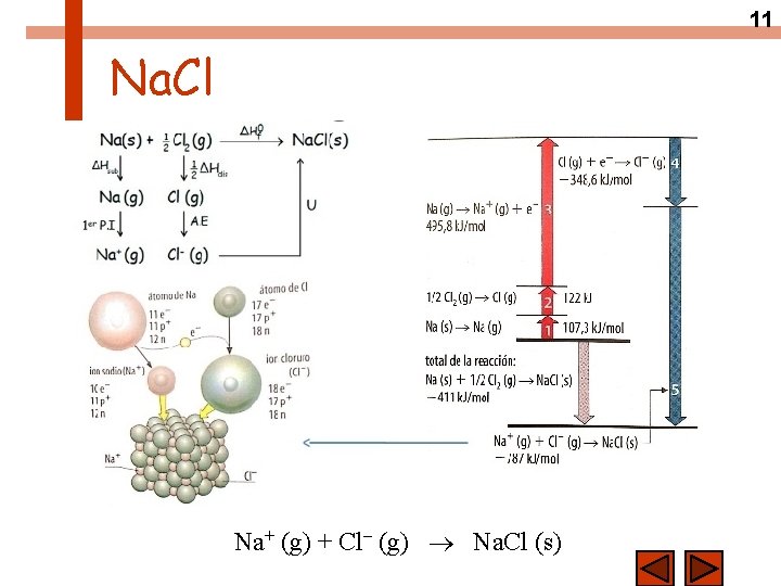 11 Na. Cl Na+ (g) + Cl– (g) Na. Cl (s) 