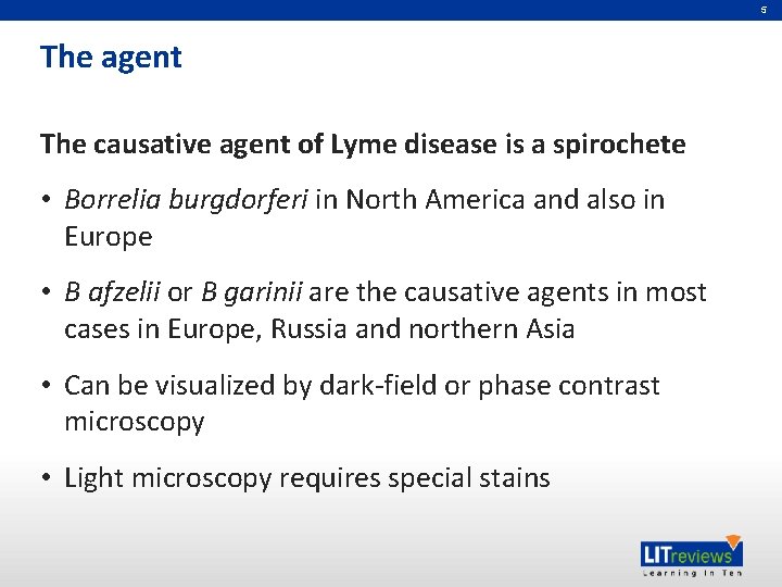 5 The agent The causative agent of Lyme disease is a spirochete • Borrelia