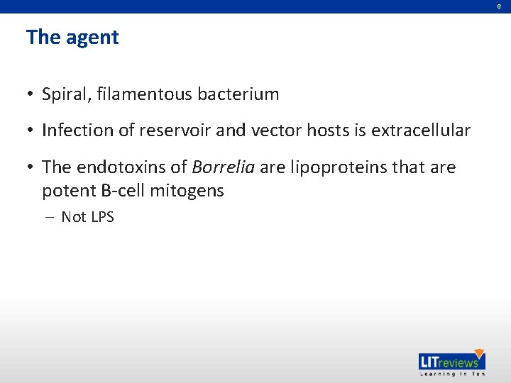 6 The agent • Spiral, filamentous bacterium • Infection of reservoir and vector hosts