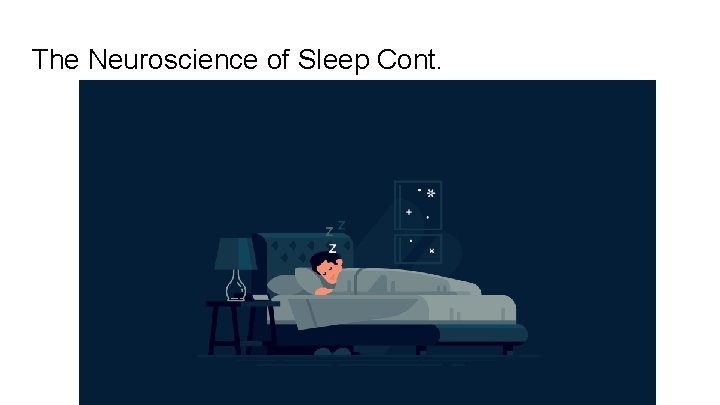 The Neuroscience of Sleep Cont. 