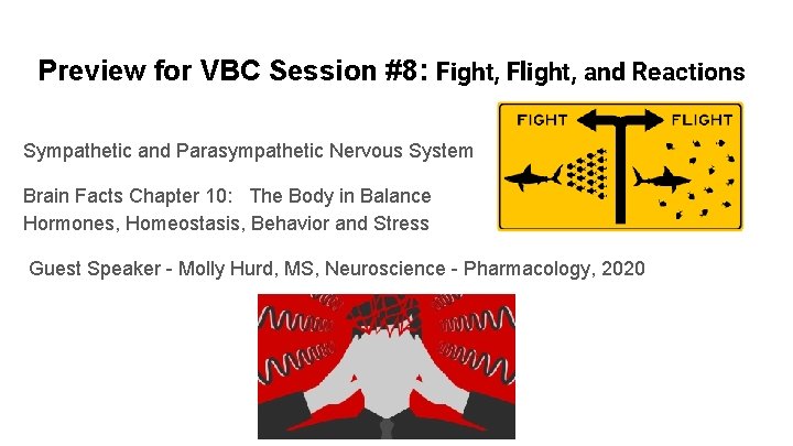 Preview for VBC Session #8: Fight, Flight, and Reactions Sympathetic and Parasympathetic Nervous System
