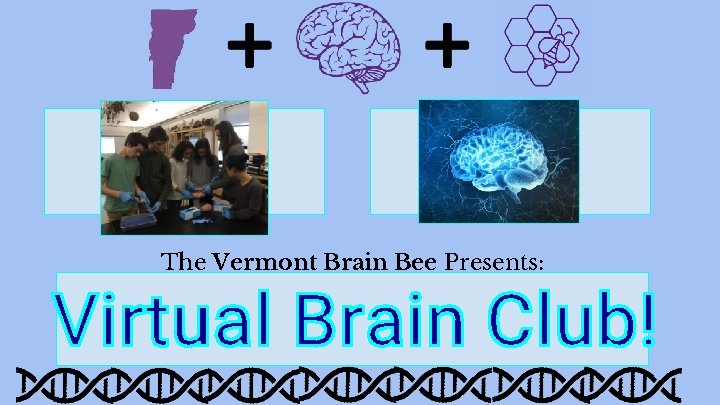 The Vermont Brain Bee Presents: 