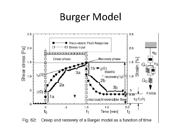Burger Model 