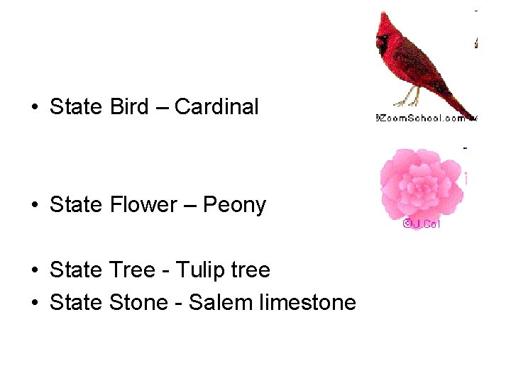  • State Bird – Cardinal • State Flower – Peony • State Tree