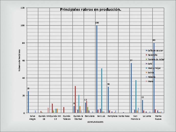 120 Principales rubros en producción. 100 80 Número de hectáreas 80 Caña de azucar