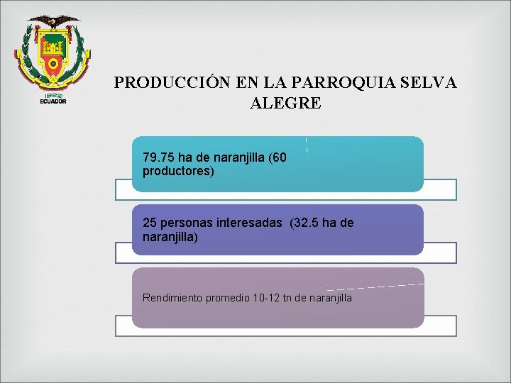 PRODUCCIÓN EN LA PARROQUIA SELVA ALEGRE 79. 75 ha de naranjilla (60 productores) 25