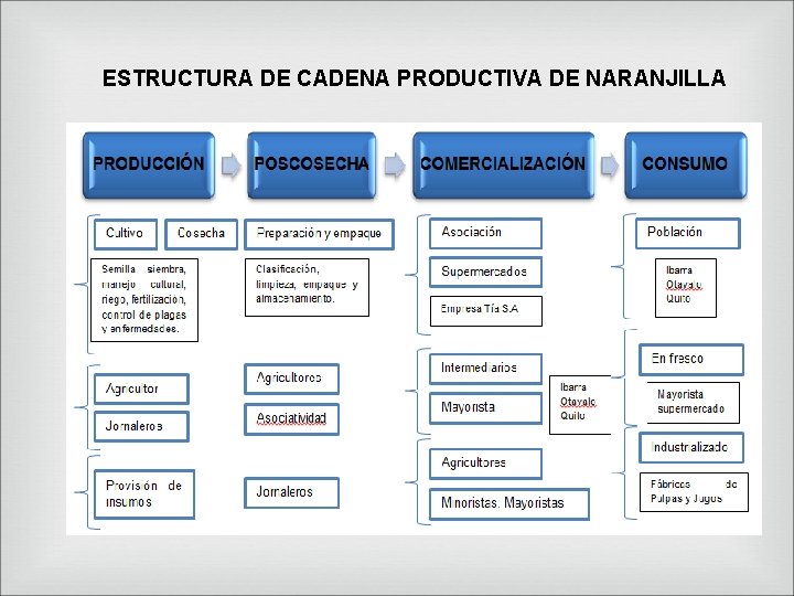 ESTRUCTURA DE CADENA PRODUCTIVA DE NARANJILLA 