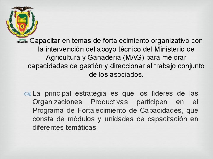 Capacitar en temas de fortalecimiento organizativo con la intervención del apoyo técnico del Ministerio