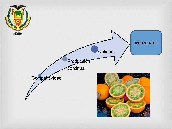 MERCADO Calidad Producción continua Competitividad 