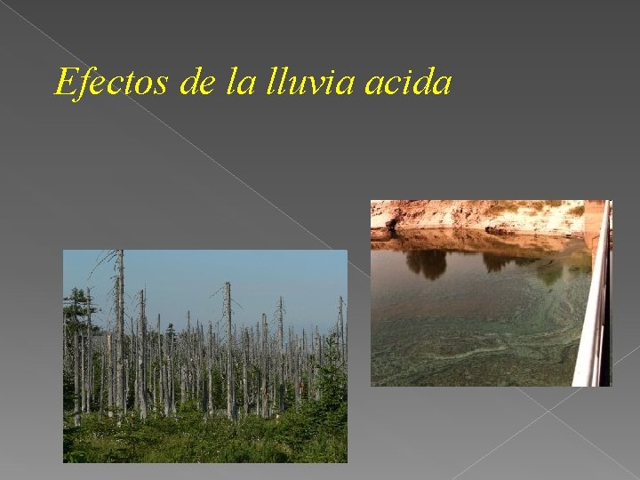 Efectos de la lluvia acida 