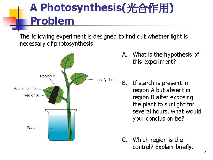 A Photosynthesis(光合作用) Problem The following experiment is designed to find out whether light is