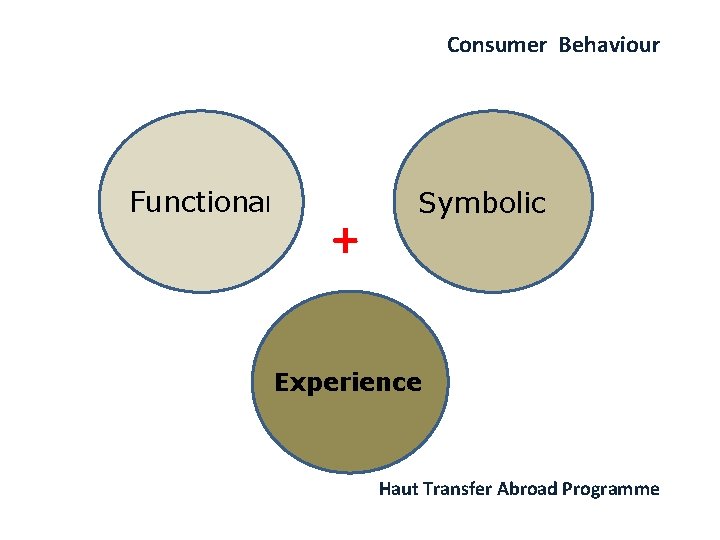 Consumer Behaviour Functional + Symbolic Experience Haut Transfer Abroad Programme 
