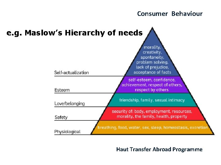 Consumer Behaviour e. g. Maslow’s Hierarchy of needs Haut Transfer Abroad Programme 