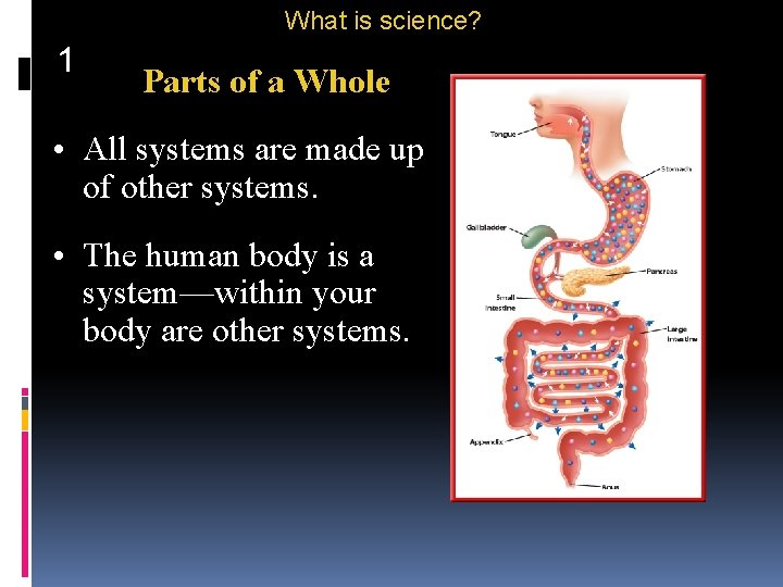 What is science? 1 Parts of a Whole • All systems are made up