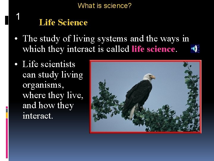 What is science? 1 Life Science • The study of living systems and the