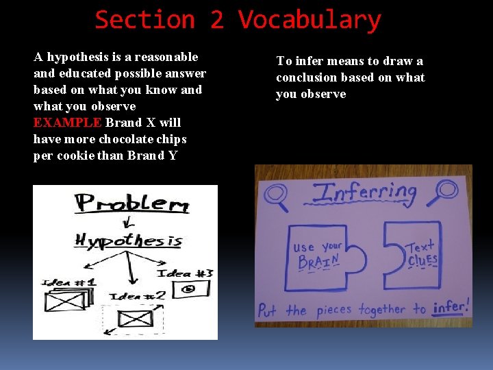 Section 2 Vocabulary A hypothesis is a reasonable and educated possible answer based on