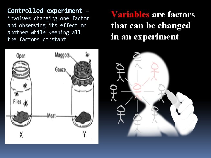 Controlled experiment – involves changing one factor and observing its effect on another while