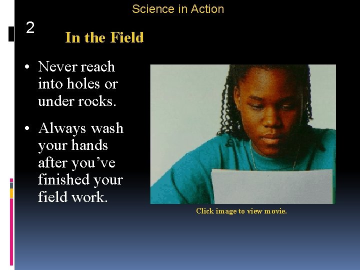 Science in Action 2 In the Field • Never reach into holes or under