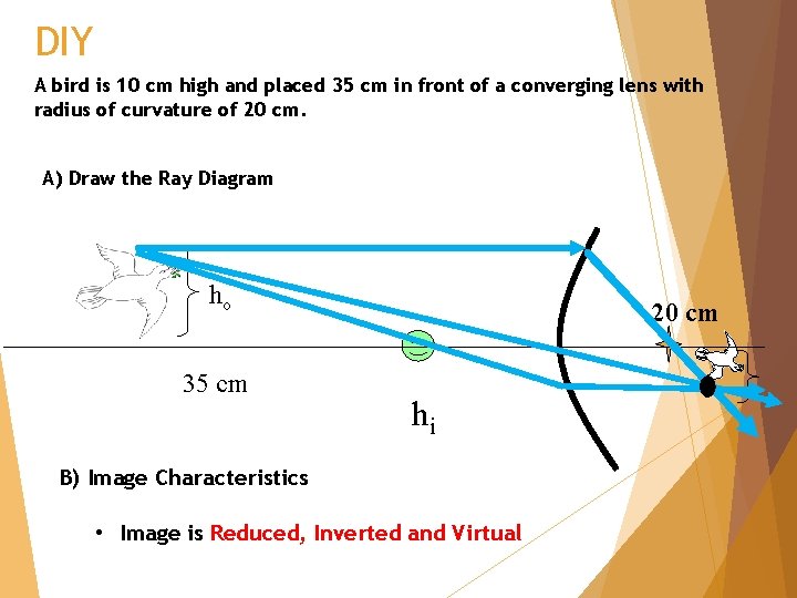 DIY A bird is 10 cm high and placed 35 cm in front of