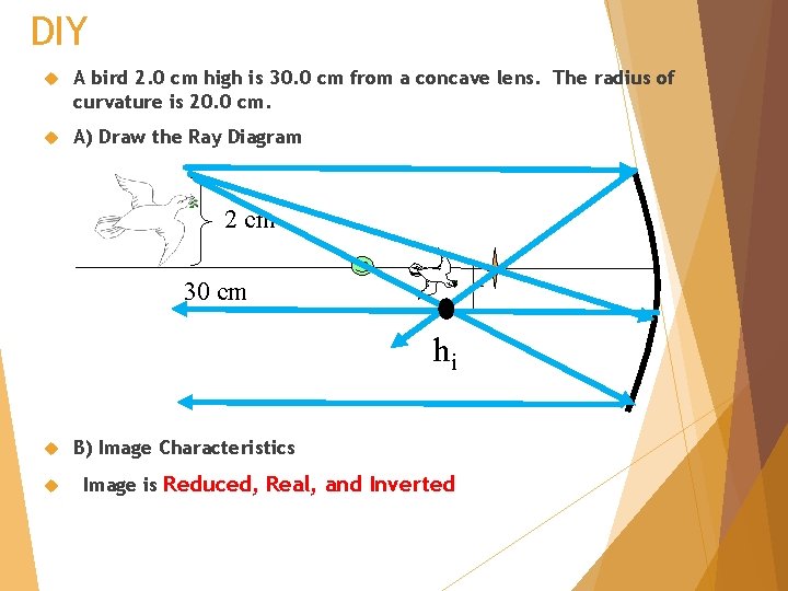 DIY A bird 2. 0 cm high is 30. 0 cm from a concave