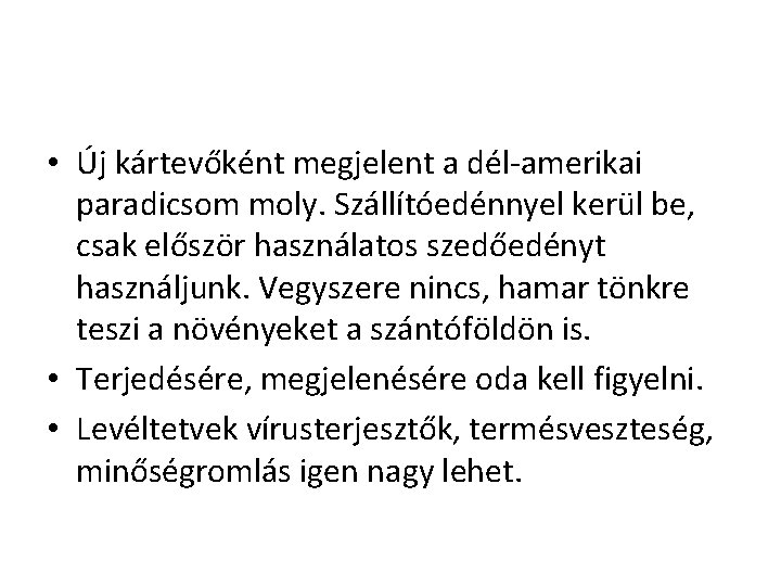  • Új kártevőként megjelent a dél-amerikai paradicsom moly. Szállítóedénnyel kerül be, csak először
