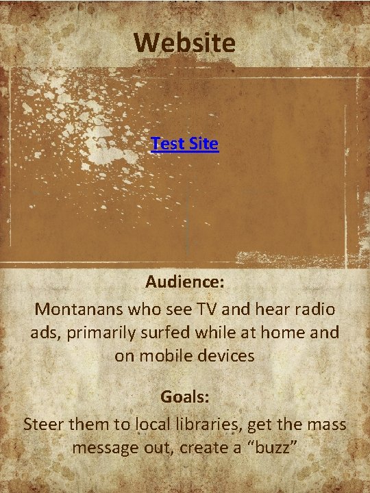 Website Test Site Audience: Montanans who see TV and hear radio ads, primarily surfed