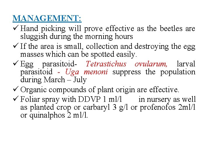 MANAGEMENT: ü Hand picking will prove effective as the beetles are sluggish during the
