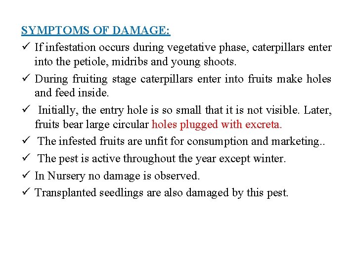 SYMPTOMS OF DAMAGE: ü If infestation occurs during vegetative phase, caterpillars enter into the