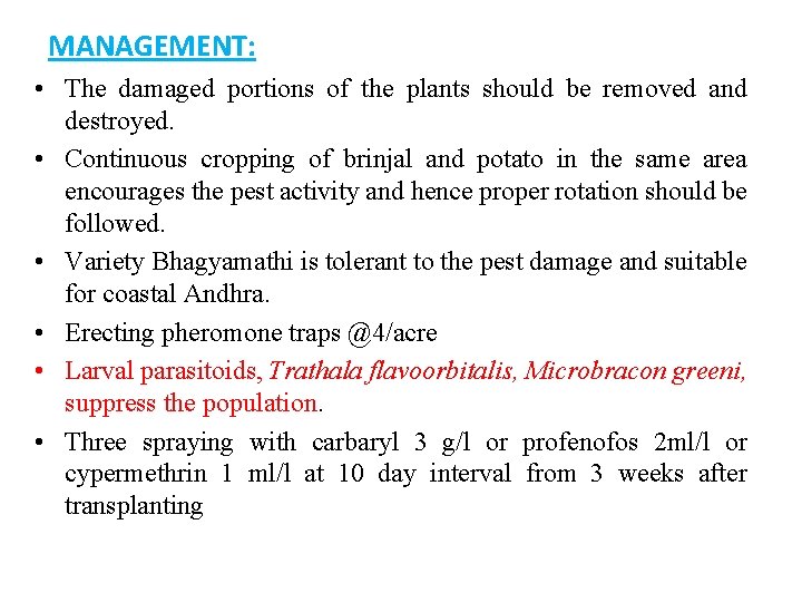 MANAGEMENT: • The damaged portions of the plants should be removed and destroyed. •