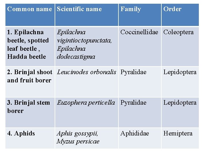 Common name Scientific name Family 1. Epilachna beetle, spotted leaf beetle , Hadda beetle