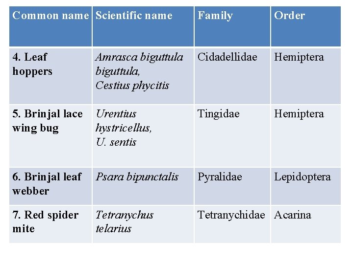 Common name Scientific name Family Order 4. Leaf hoppers Amrasca biguttula, Cestius phycitis Cidadellidae