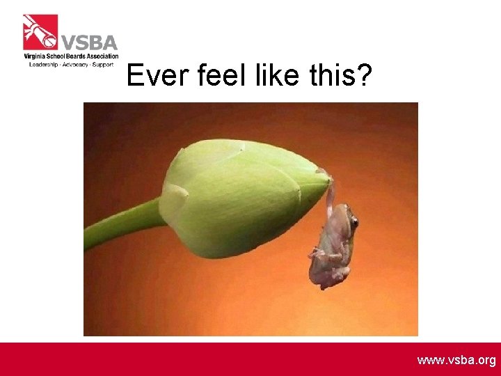 Ever feel like this? www. vsba. org 