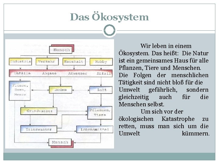 Das Ökosystem Wir leben in einem Ökosystem. Das heißt: Die Natur ist ein gemeinsames