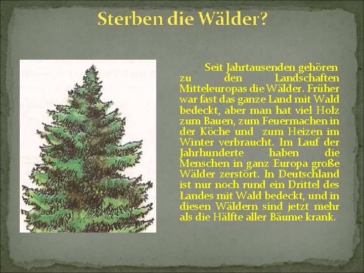 Seit Jahrtausenden gehören zu den Landschaften Mitteleuropas die Wälder. Früher war fast das ganze