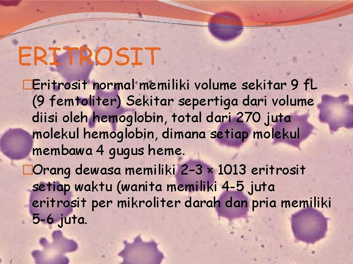 ERITROSIT �Eritrosit normal memiliki volume sekitar 9 f. L (9 femtoliter) Sekitar sepertiga dari