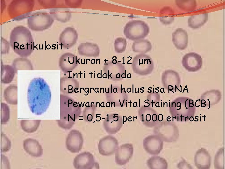 Retikulosit : • Ukuran ± 8 -12 μm • Inti tidak ada • Bergranula