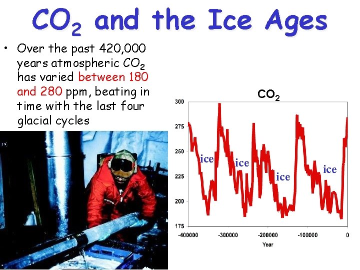 CO 2 and the Ice Ages • Over the past 420, 000 years atmospheric