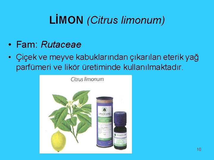 LİMON (Citrus limonum) • Fam: Rutaceae • Çiçek ve meyve kabuklarından çıkarılan eterik yağ