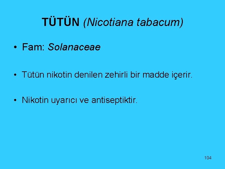 TÜTÜN (Nicotiana tabacum) • Fam: Solanaceae • Tütün nikotin denilen zehirli bir madde içerir.