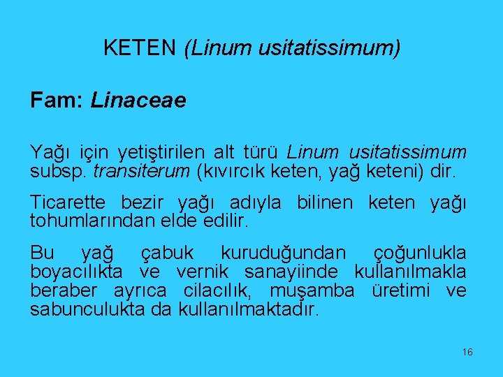 KETEN (Linum usitatissimum) Fam: Linaceae Yağı için yetiştirilen alt türü Linum usitatissimum subsp. transiterum