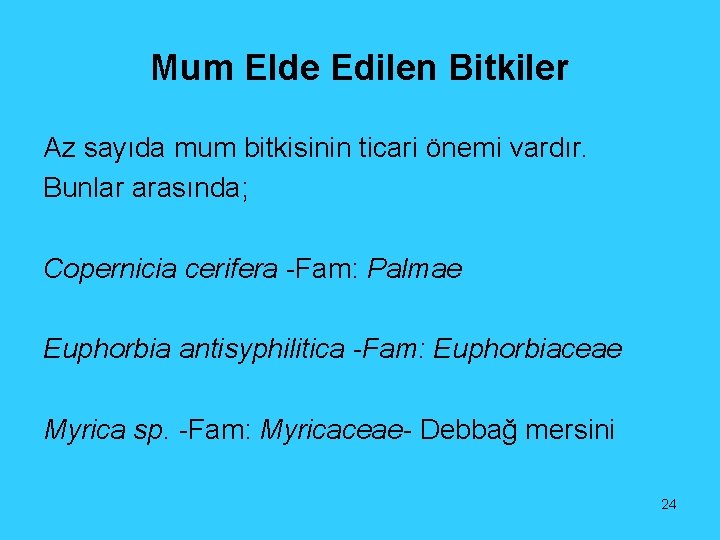 Mum Elde Edilen Bitkiler Az sayıda mum bitkisinin ticari önemi vardır. Bunlar arasında; Copernicia