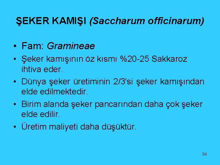 ŞEKER KAMIŞI (Saccharum officinarum) • Fam: Gramineae • Şeker kamışının öz kısmı %20 -25