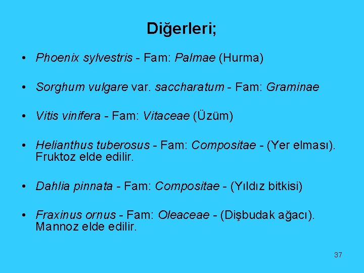 Diğerleri; • Phoenix sylvestris - Fam: Palmae (Hurma) • Sorghum vulgare var. saccharatum -