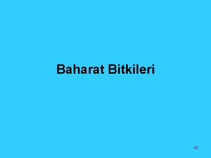 Baharat Bitkileri 42 