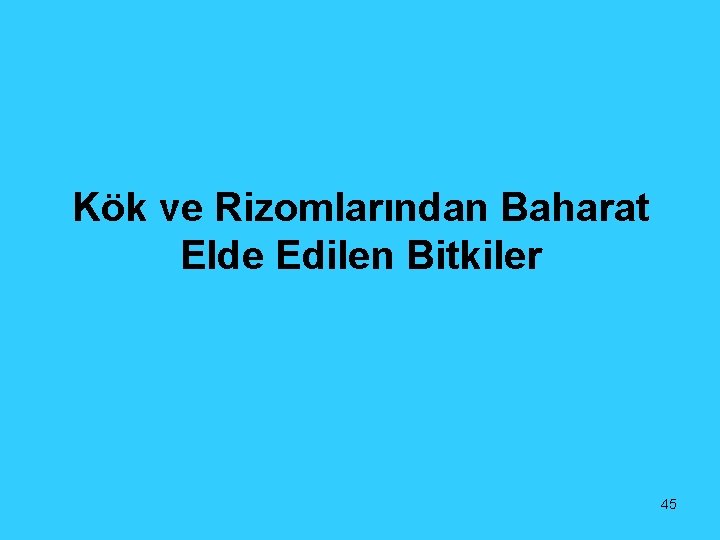 Kök ve Rizomlarından Baharat Elde Edilen Bitkiler 45 